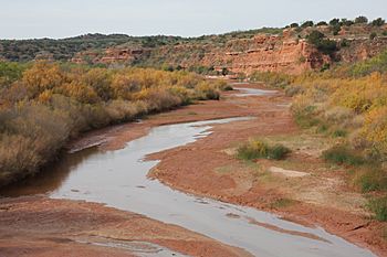 Brazos River Double Mountain Fork Rotan Texas 2009.jpg