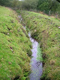 Cadgerford Burn