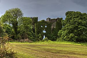 Castles of Connacht- Castle Daly, Galway (3) (geograph 4069150)