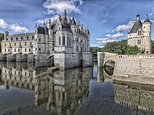 Chateau de Chenonceau.