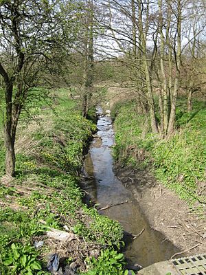 Cock Beck Barwick Road 01