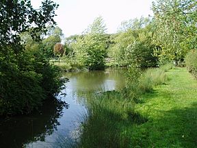 Donnington Wood Canal Lilleshall Basin.jpg