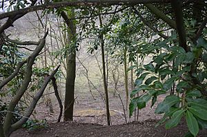 Fern House Gravel Pit 1.JPG