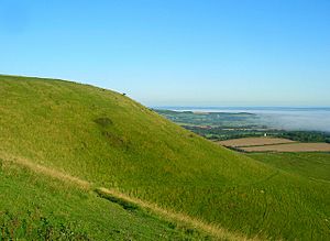 Firle Beacon - geograph.org.uk - 961577