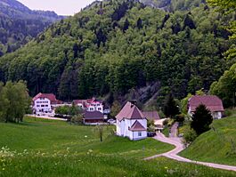 Gänsbrunnen village