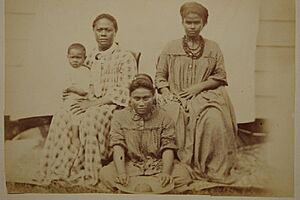 German colonial album 1880s img31