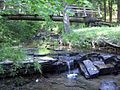 Jefferson Memorial Forest-Bee Lick Creek