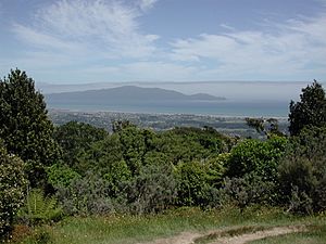 Kapiti Island from Hemi Matenga Park, Waikanae