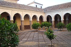 Mezquita Mayor Nazarí