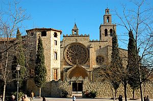 Monestir de Sant Cugat - Vista general