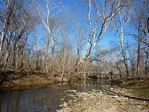 Monroe County - Clear Creek south of Dillman Road - P1120753