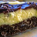 Nanaimo bar detail