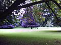 Normanby Hall Country Park