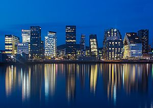 Oslo at night