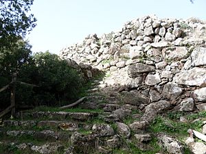 Particolare del Nuraghe Bruncu Madugui