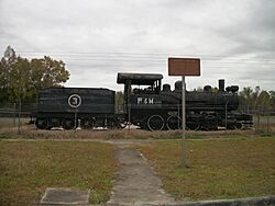 Patterson-McInnis Sawmill Locomotive 3-02