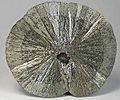 Pyrite-200582