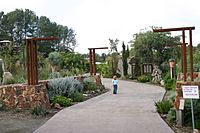 Quail botanical gardens 2