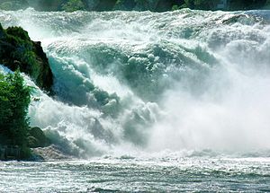 Rhine Falls