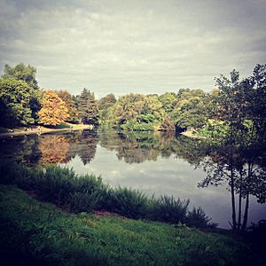 Sefton Park, Liverpool, UK.jpg