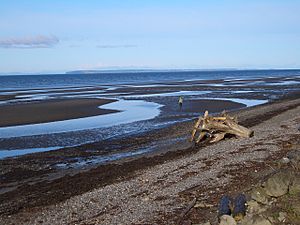 Semiahmoo-Bay-3630