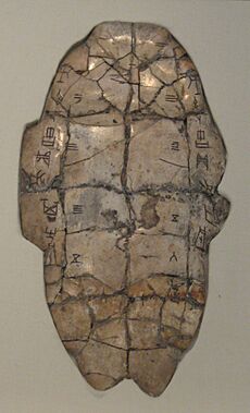 Shang dynasty inscribed tortoise plastron