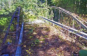 A bridge with wooden deck and iron supports covered with downed branches