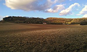 Smythe's Megalith field