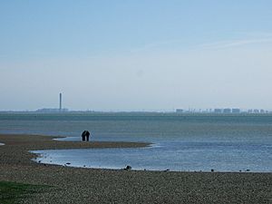 Thames Estuary at Westcliff