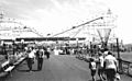 1972 - Flying Dutchman - Dorney Park - Allentown PA