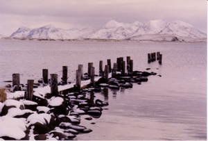 Adak Island Clam Lagoon