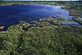 Aerial view of wetlands in Okefenokee