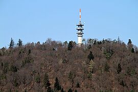 Baden-Baden-vom Korbmattfelsen-54-Fremersberg-2021-gje