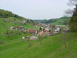 Bottenwil.jpg