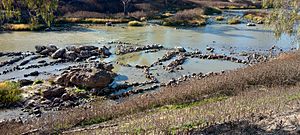 Brewarrina fish traps 2023.jpg