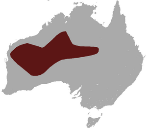 Brush-tailed Mulgara area.png