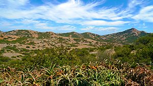 Catalina Island Interior photo D Ramey Logan