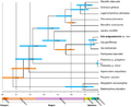 Cetacean phylogeny PLoS ONE 2014-01-22