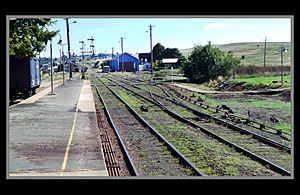 Cooma Railway Yards-1 (8547148758)