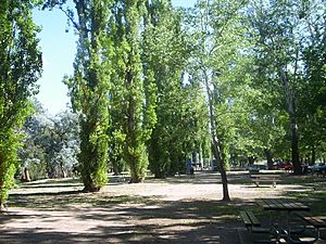 Cotter river picnic area