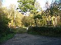 Eaton Woods Nature Reserve N Notts - geograph.org.uk - 83270