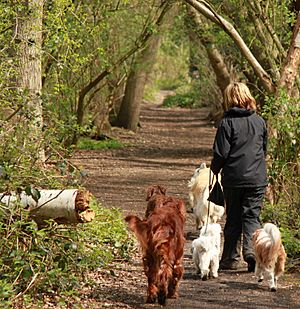 Fishponds Wood Nature Reserve (7217655390)