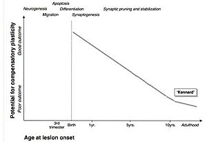 Kennard Principle