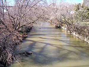 Little Lehigh Creek Allentown