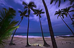 Magic Sands (Laaloa Bay) Hawaii Christmas