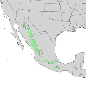 Pinus leiophylla range map 1.png