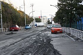 Soil-liquefaction at Shinkiba after 2011 Tohoku Pacific Ocean offshore earthquake