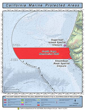 South Cape Mendocino & Sugarloaf Island