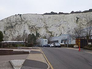 Southerham Works Pit (3).jpg