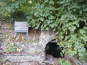 St Myllin's Well, Llanfyllin